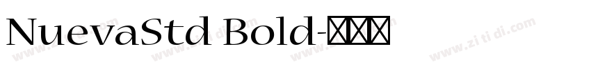 NuevaStd Bold字体转换